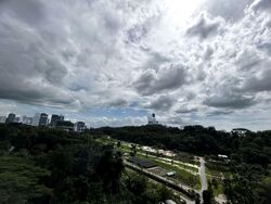 Normanton Park (D5), Apartment #565839571